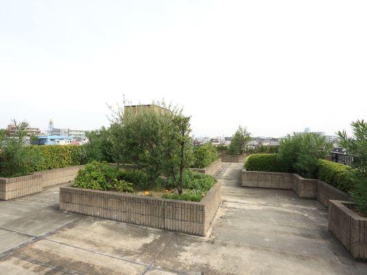 屋上には草木が植えられており、緑が豊富な庭園になっている。屋上からは施設周辺の景観を見渡すことができる。