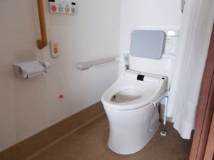 安全な設備のトイレ