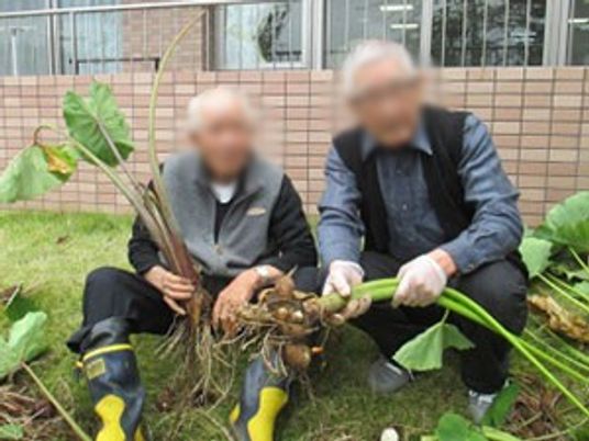 庭での作業を楽しむ人々