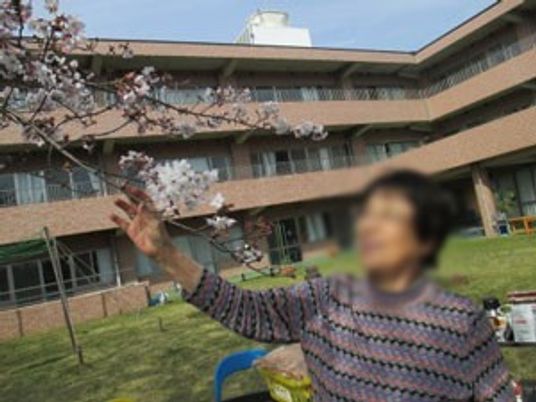 桜の花と人物の庭