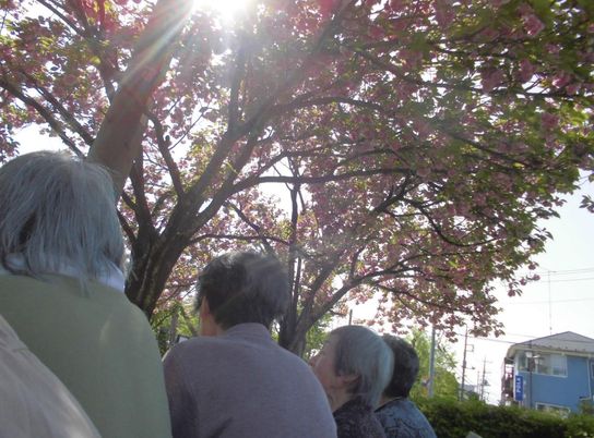 桜の木の下にいる人々