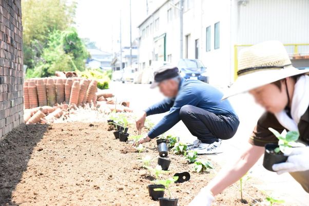 庭の植物を植える様子