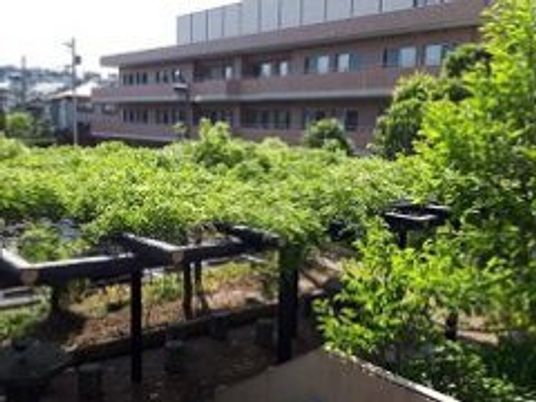 緑に囲まれた中庭  