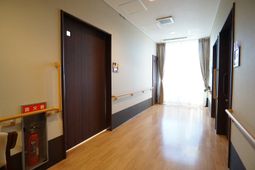 廊下の明るい空間