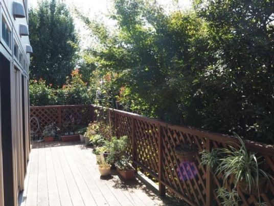 緑に囲まれた明るいテラス