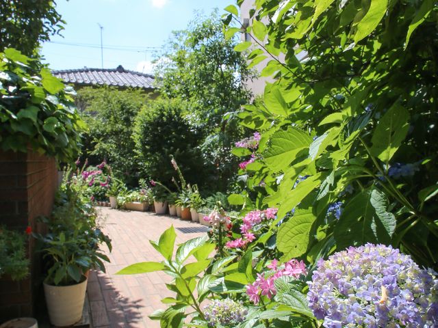緑豊かな中庭風景 施設周辺の植物 陽光あふれる中庭で、四季折々の花や緑を愛でながら、ゆったりとした時間を過ごせる空間です。