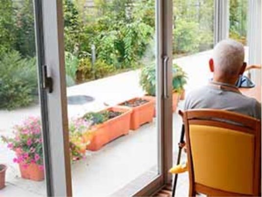 庭を見る人の後ろ姿