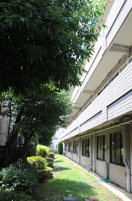 緑に囲まれた建物外観