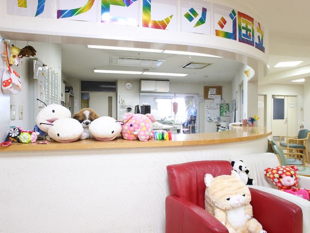 ぬいぐるみが置かれたフロント 受付 カラフルなデコレーションが施された明るいロビーは、訪れる人々を和やかな気持ちにさせます。ぬいぐるみが並ぶカウンターが、温かい雰囲気を演出しています。