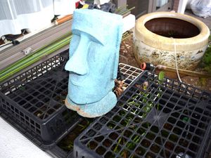 植栽のある中庭  