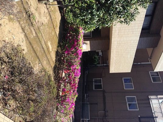 花のある建物外観  