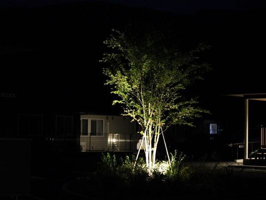 夜の庭木  