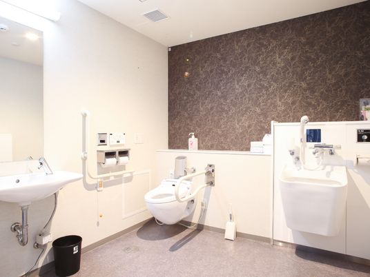 洋式トイレと洗面台