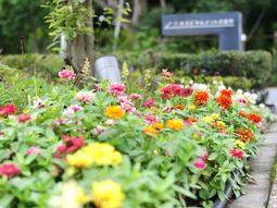 多彩な花々と看板