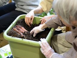 手作業での植物の植え付け