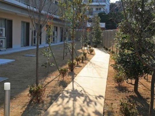 明るい庭の散歩道