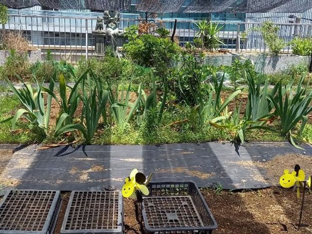 緑豊かな庭 庭 自然豊かな庭で、リラックスした雰囲気が魅力です。季節の花や植物が手入れされています。
