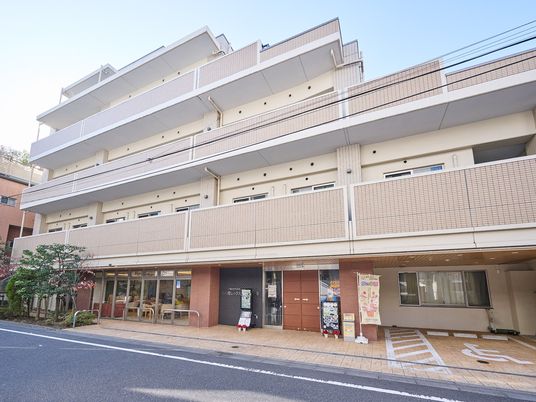 マンション風の外観  