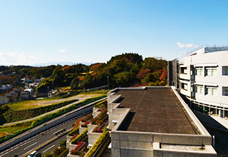 白楽荘の外観