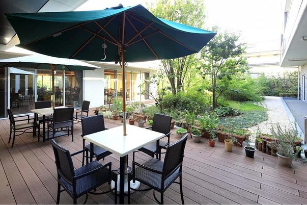 緑豊かな中庭の風景