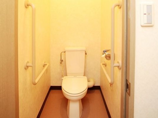 トイレはシンプルで温かみのある空間になっている。中央に便座、両側の壁にはL字で大きめの手すりが設置されていて、しっかりとサポートしてくれる。