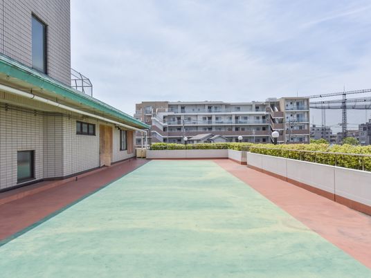 中庭の明るい景色