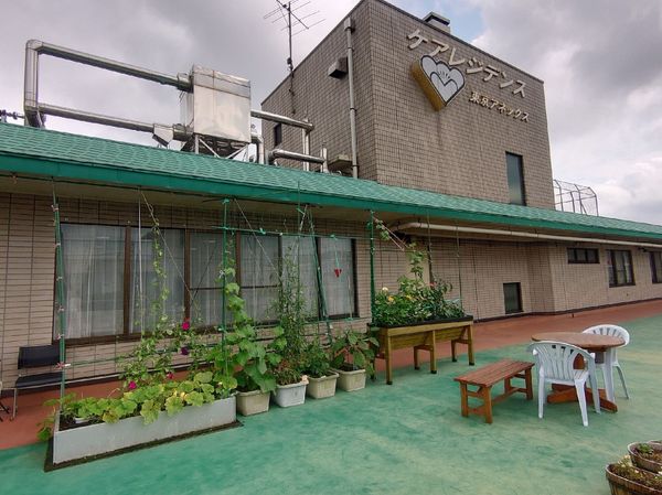 屋上緑化施設と外観
