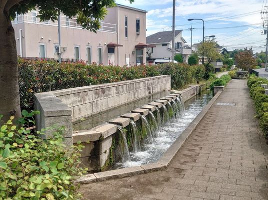 清流と緑の散歩道