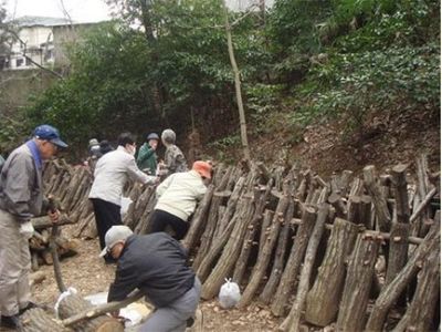林間での木材活用作業