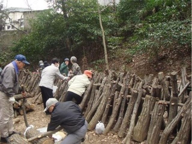 林間での木材活用作業 周辺環境 自然に囲まれた環境で、利用者の方々が木材を使った活動に取り組んでいます。日常とは異なる作業を通じて、新たな趣味の発見も。