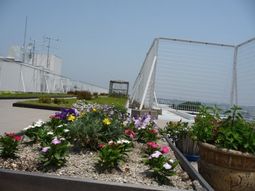 屋上の花壇と設備