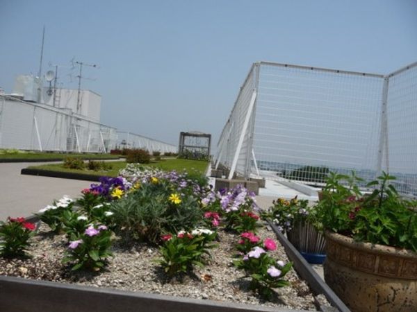 屋上の花壇と設備