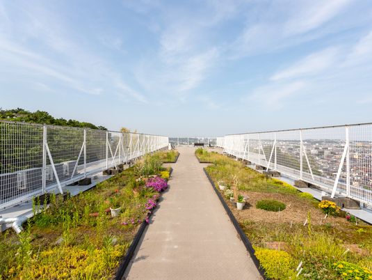 緑あふれる屋上庭園