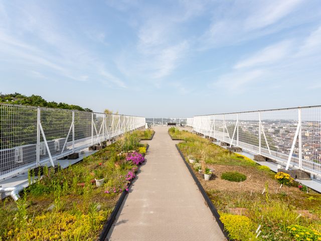 緑あふれる屋上庭園 テラス 開放的な屋上に設けられた庭園です。四季折々の花々や緑に囲まれた空間で心休まるひと時をお過ごしいただけます。