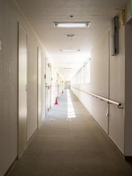 広々とした明るい廊下