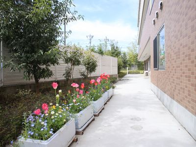 花と植物に囲まれた敷地