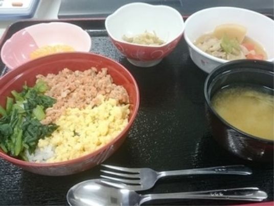 栄養バランスの取れた食事内容