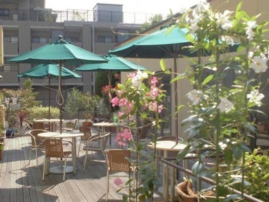 緑豊かな明るい庭