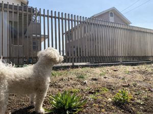 犬と庭先の外観  