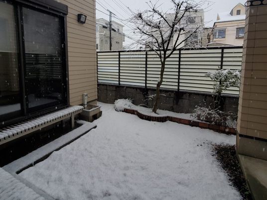 雪の中庭  