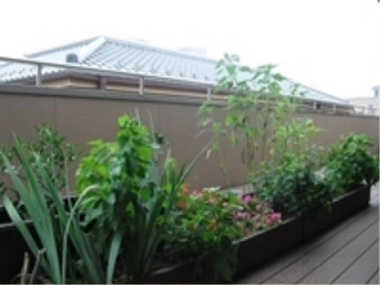 植物がある屋外空間