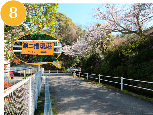 桜並木の通路外観  
