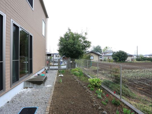 庭と建物の外観