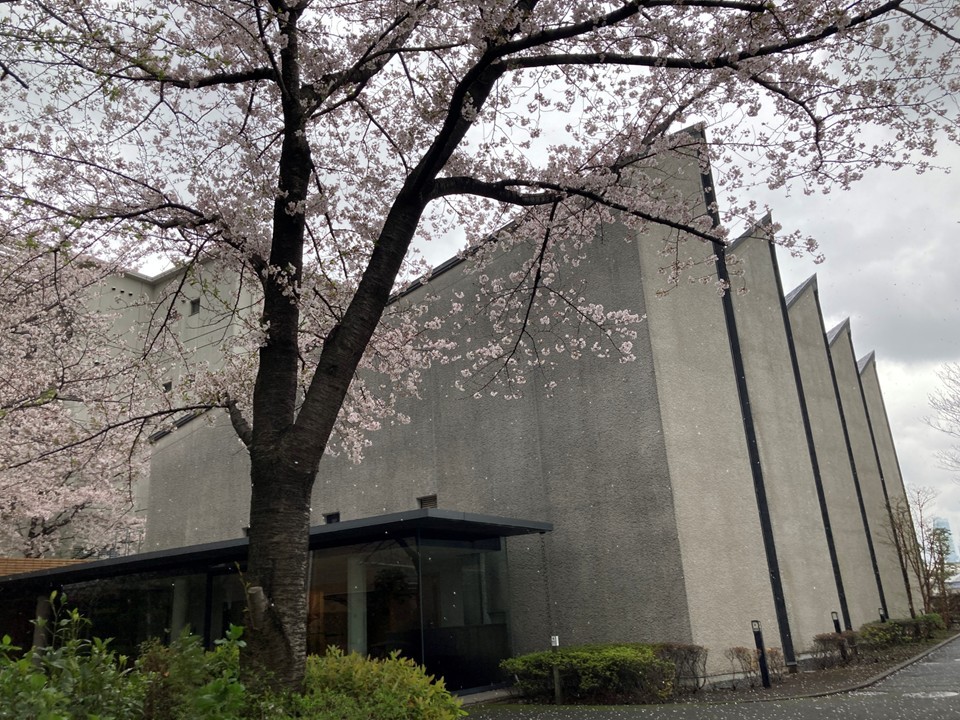 デイサービスセンター 聖母ホームの外観