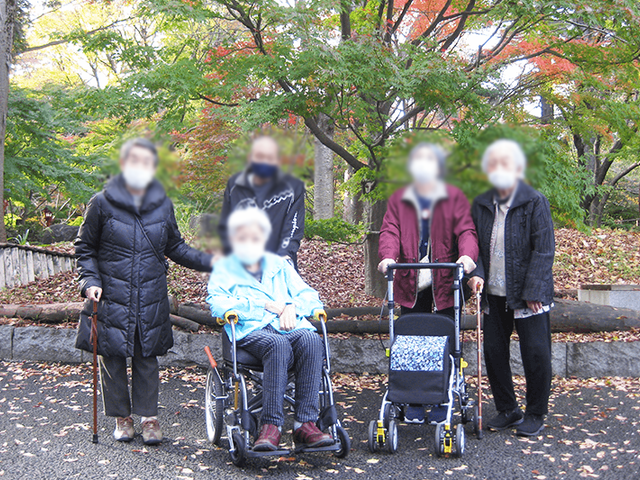 紅葉の公園 庭 色づいた木々に囲まれた庭です。暖かい日差しの中、リラックスしたひとときを過ごせます。