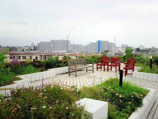 屋上緑化スペース