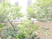 中庭の植栽  