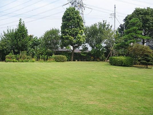 広い芝生の庭  