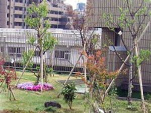 季節の花が美しい庭