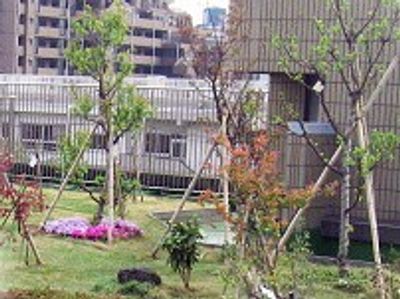 季節の花が美しい庭